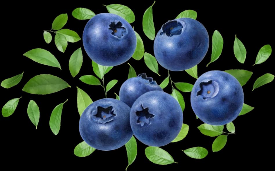 Blueberries