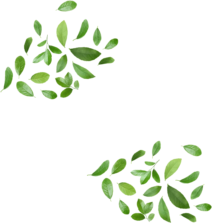 Leaves decoration