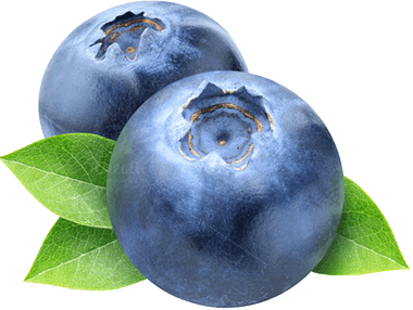 Blueberry