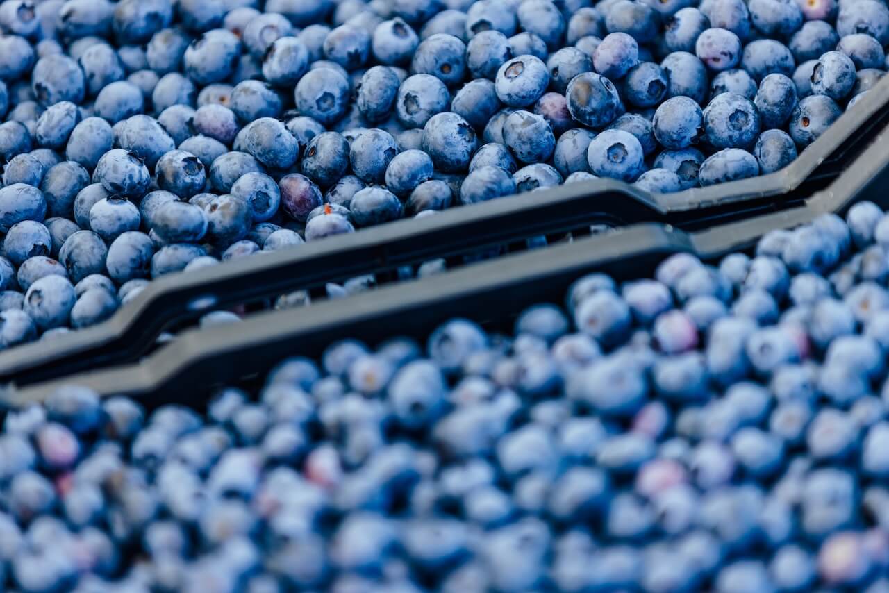 Hladnjača i mini pak centar za potrebe kooperative