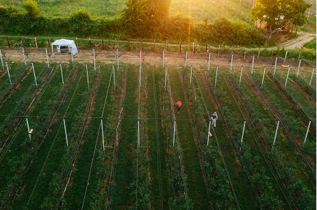 Planinama zapadne Srbije