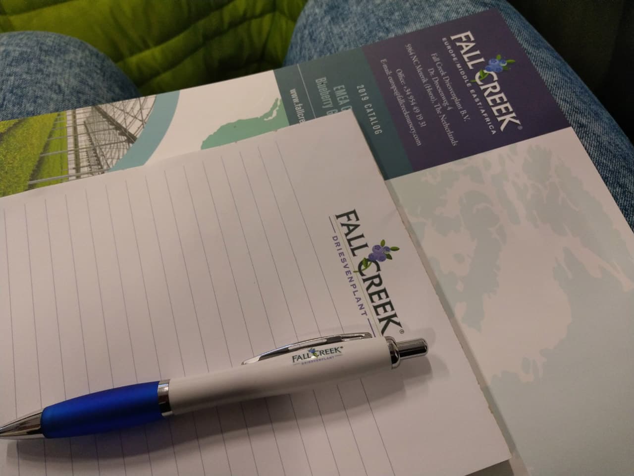 Our team at „Pruning Day Drievenplant“ Nursery Holland