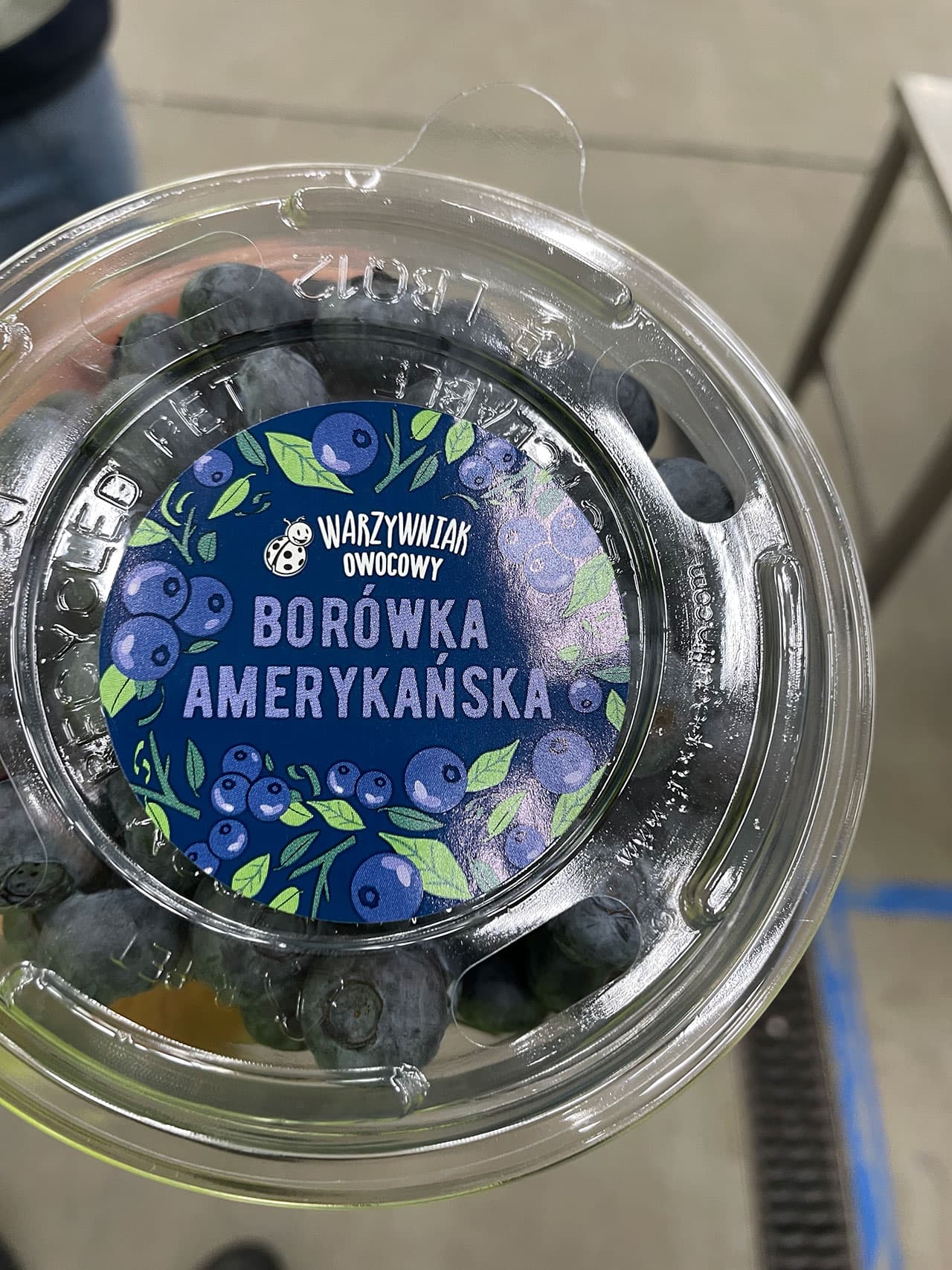 Visiting customers in the Benelux countries